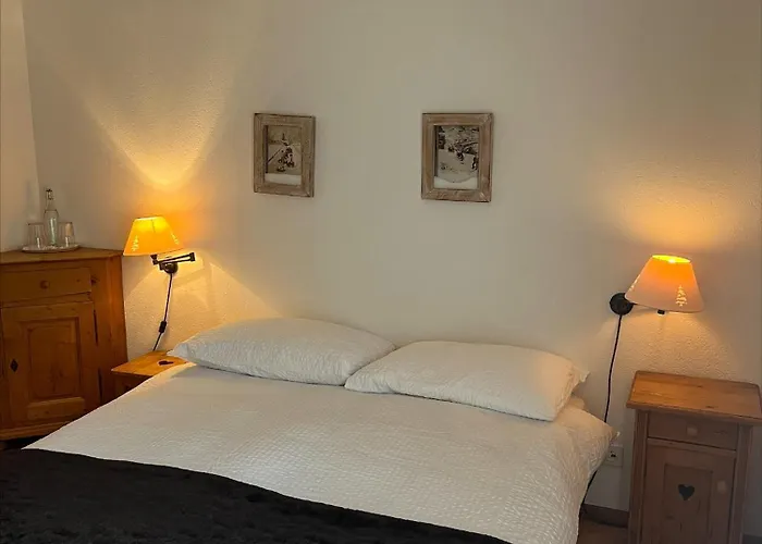 Отель Ermitage 3*